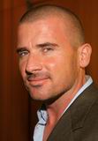 Dominic Purcell Interview - vooxpopuli.com
